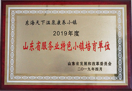 KA电子天下温泉康养小镇荣获2019年度山东省服务业特色小镇培育单位